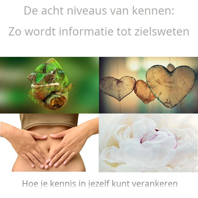 8 niveaus van kennen